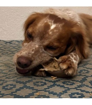 Sabot fourré à la graisse de mouton pour chien.