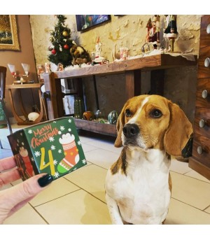 Boîte du calendrier de l'avent pour chien.