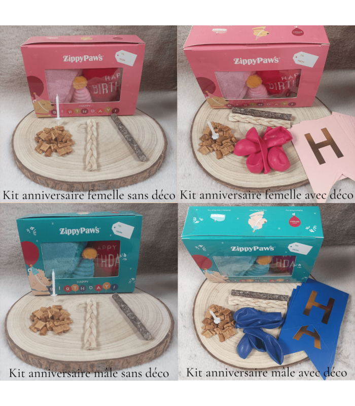 kit anniversaire pour chien, avec ou sans déco pour mâle ou femelle.