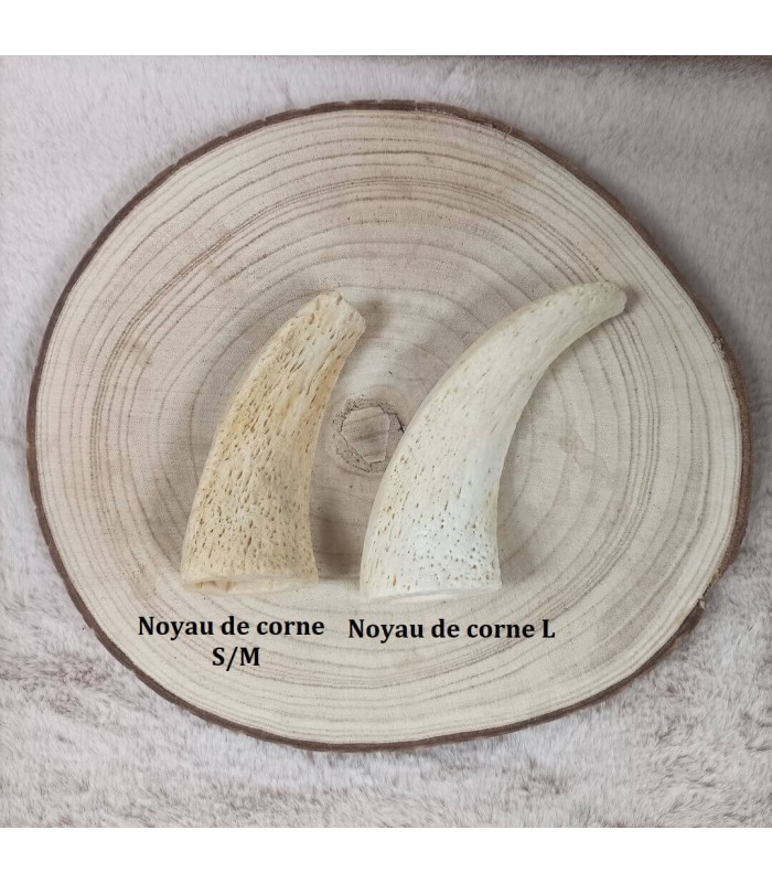 Noyau de corne de buffle pour chien.