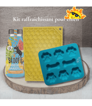 kit raffraichissant pour chien.