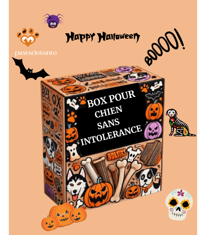 Box halloween pour chien non intolérant.