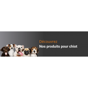 Jeux et Mastication Chiots