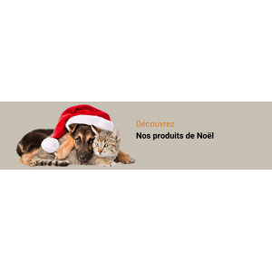 Noël