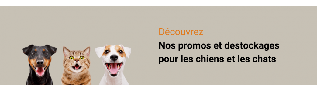 Paws Détente | Promo et déstockage pour chien et chat