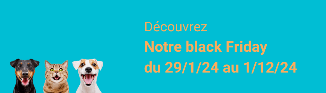 Black friday | paws détente Lille