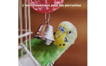 Enrichissement mental pour les perruches : stimulez l’Intelligence de Vos oiseaux.