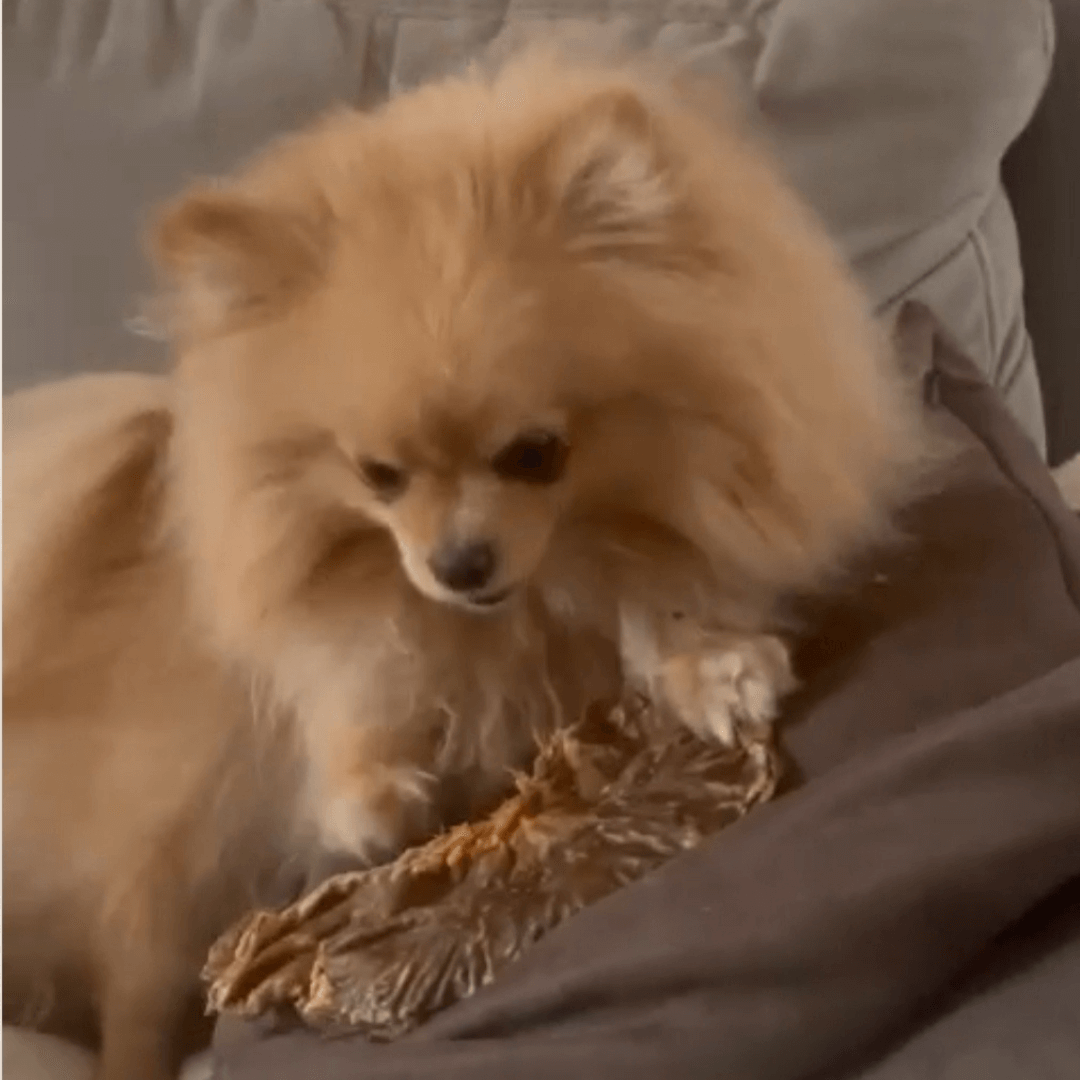 Christine avec Lizzy luna et Paulo